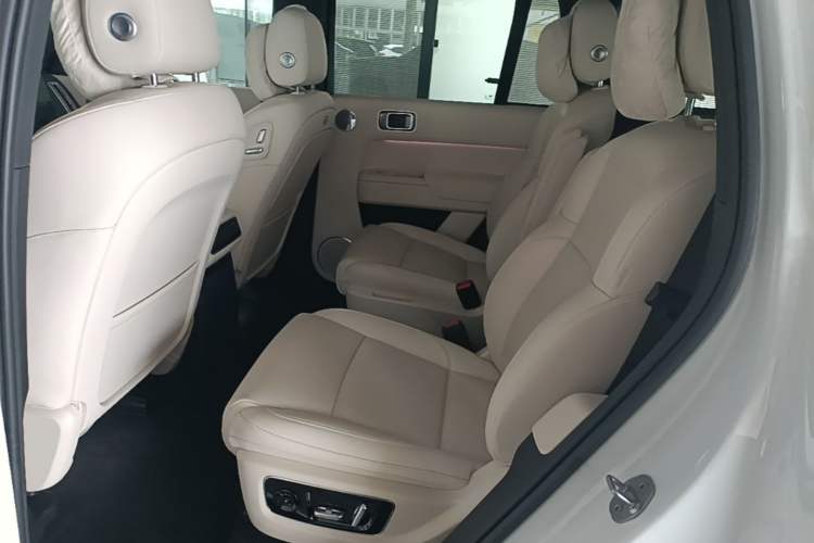 Used Li Auto L8 2025 Ultra Smart Refreshed Edition Left Rear Seat