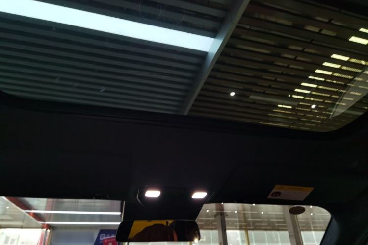 Used Li Auto L9 2022 Max model Headliner