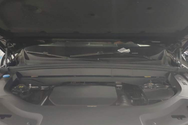 Used Li Auto L9 2022 Max model Engine Bay
