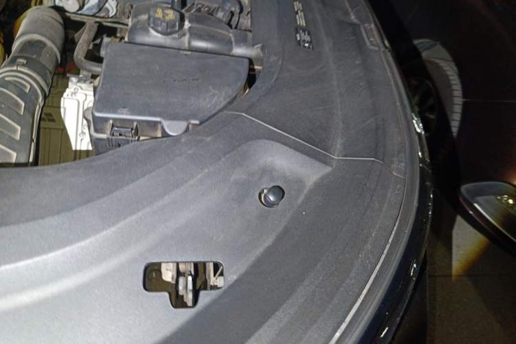 Used Li Auto L9 2022 Max model Engine Bay Left