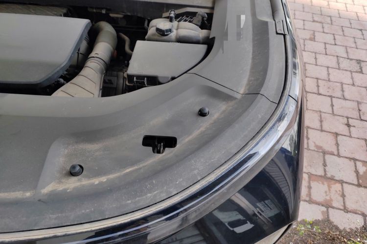 Used Li Auto L9 2022 Max model Engine Bay Left