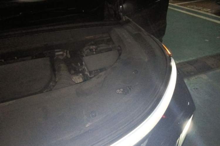 Used Li Auto L9 2022 Max model Engine Bay Left