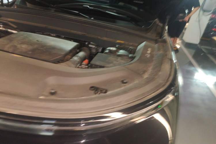 Used Li Auto L9 2022 Max model Engine Bay Left