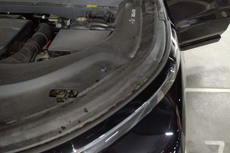 Used Li Auto L9 2022 Max model Engine Bay Left