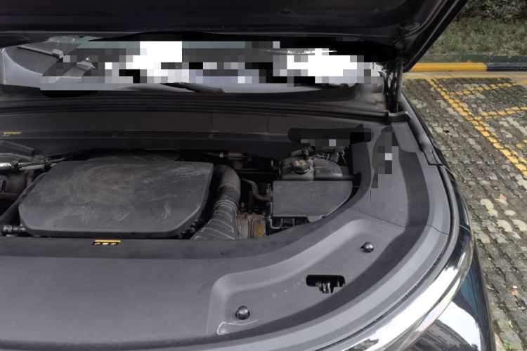Used Li Auto L9 2022 Max model Engine Bay Left