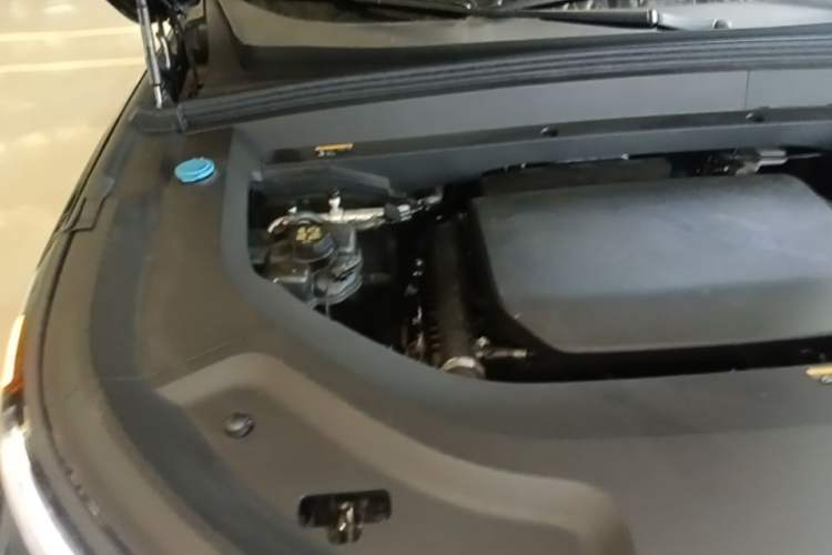 Used Li Auto L9 2022 Max model Engine Bay Right