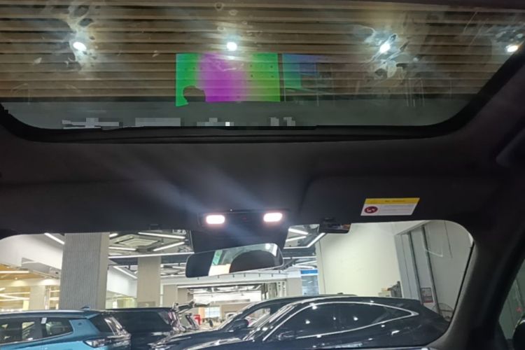 Used Li Auto L9 2022 Max model Headliner