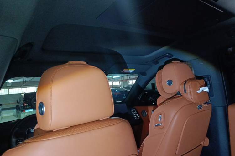 Used Li Auto L9 2022 Max model Headliner