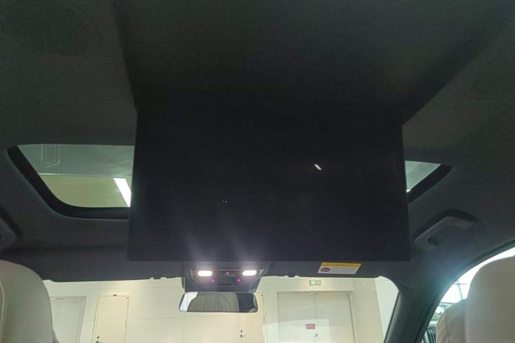 Used Li Auto L9 2022 Max model Headliner