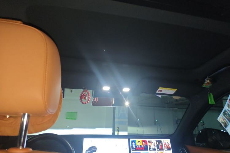 Used Li Auto L9 2022 Max model Headliner