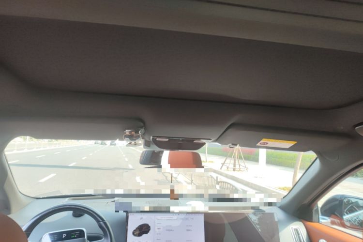 Used Li Auto L9 2022 Max model Headliner