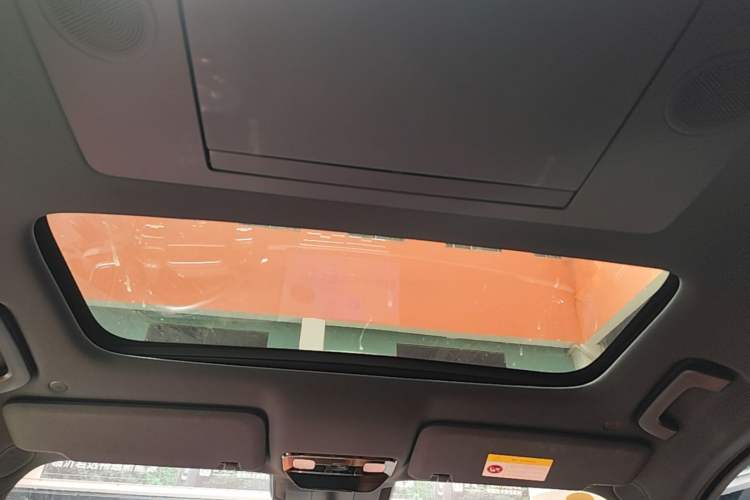 Used Li Auto L9 2022 Max model Headliner