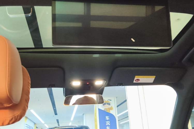 Used Li Auto L9 2022 Max model Headliner