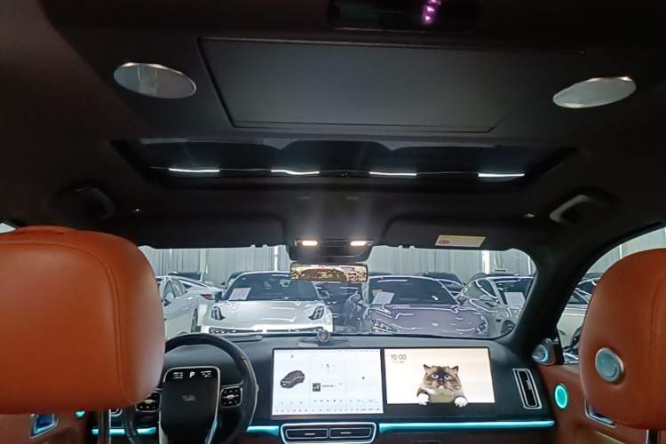 Used Li Auto L9 2022 Max model Headliner