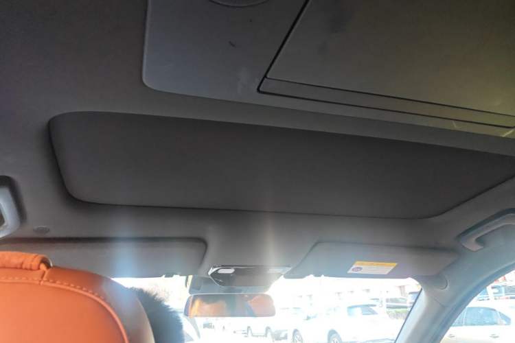 Used Li Auto L9 2022 Max model Headliner