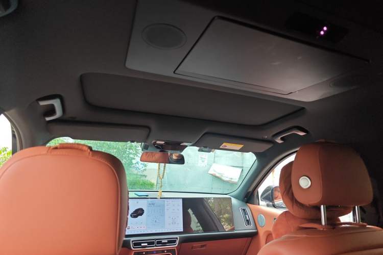 Used Li Auto L9 2022 Max model Headliner