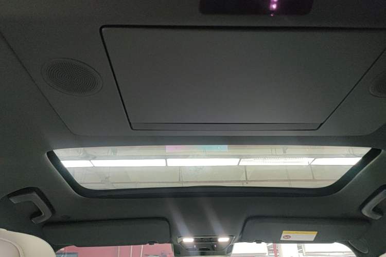 Used Li Auto L9 2022 Max model Headliner