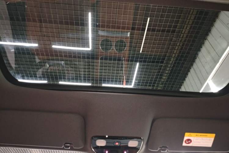 Used Li Auto L9 2022 Max model Headliner