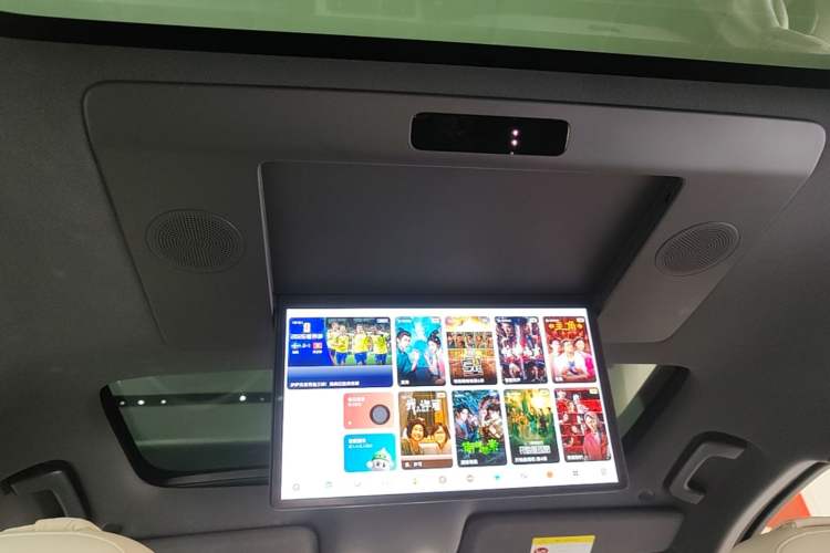Used Li Auto L9 2022 Max model Headliner