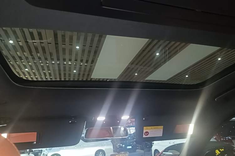 Used Li Auto L9 2022 Max model Headliner