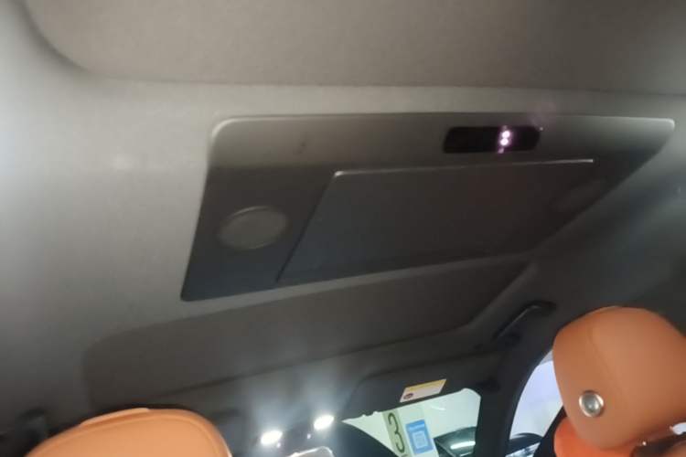 Used Li Auto L9 2022 Max model Headliner