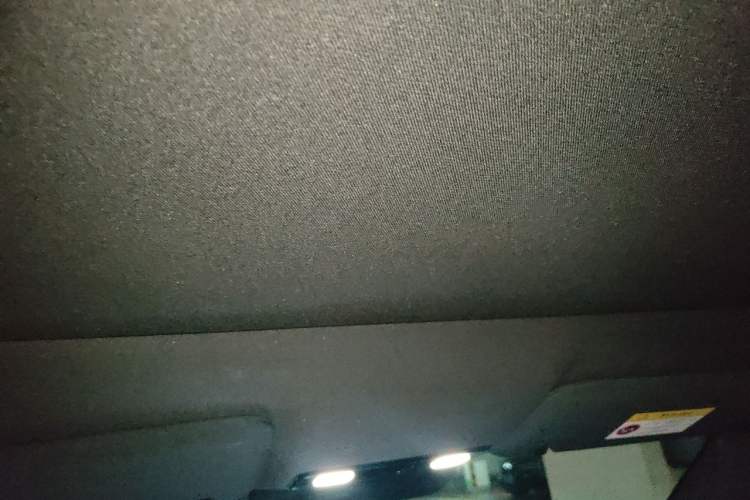 Used Li Auto L9 2022 Max model Headliner