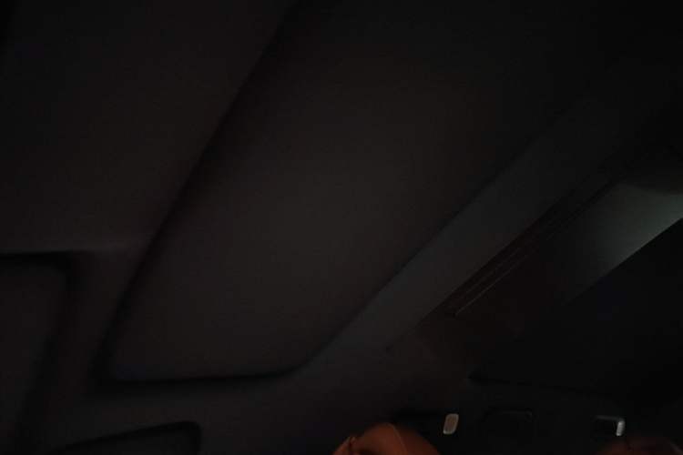 Used Li Auto L9 2022 Max model Headliner