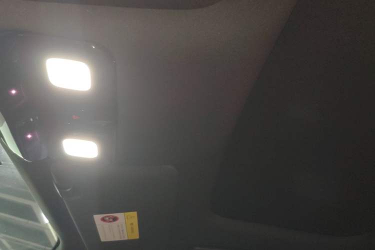 Used Li Auto L9 2022 Max model Headliner