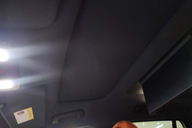 Used Li Auto L9 2022 Max model Headliner