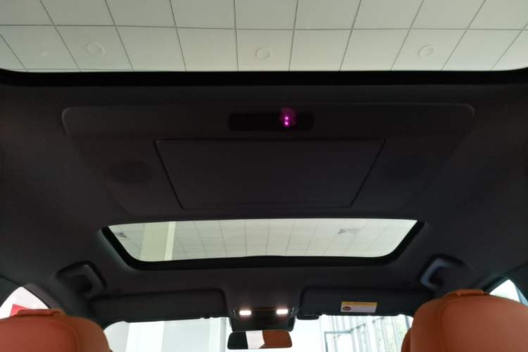 Used Li Auto L9 2022 Max model Headliner