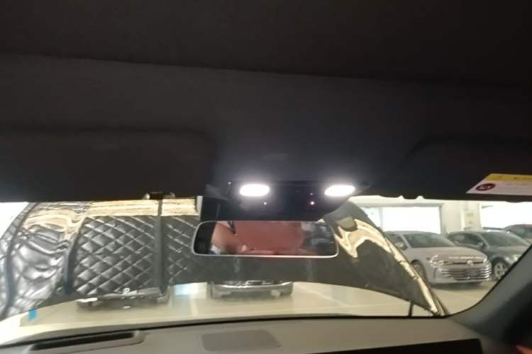 Used Li Auto L9 2022 Max model Headliner