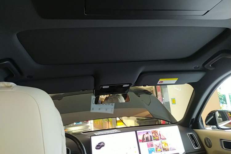 Used Li Auto L9 2022 Max model Headliner