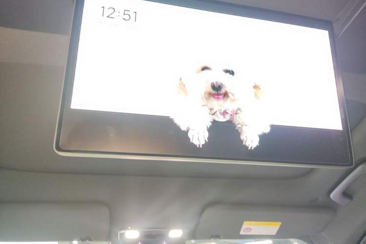 Used Li Auto L9 2022 Max model Headliner