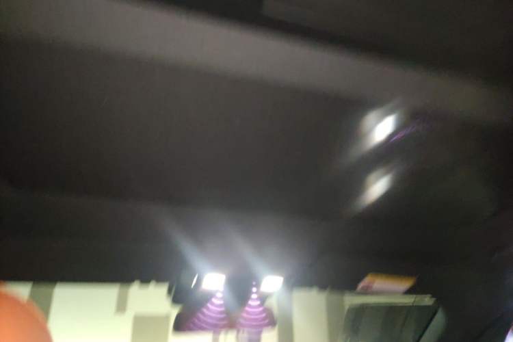 Used Li Auto L9 2022 Max model Headliner