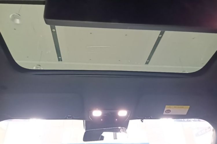 Used Li Auto L9 2022 Max model Headliner