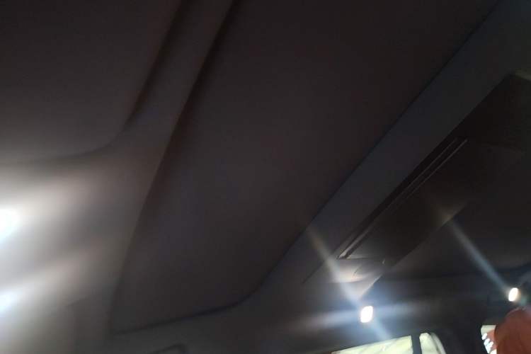 Used Li Auto L9 2022 Max model Headliner