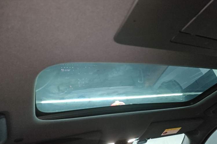Used Li Auto L9 2022 Max model Headliner