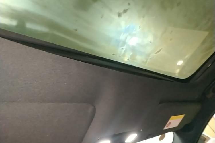 Used Li Auto L9 2022 Max model Headliner