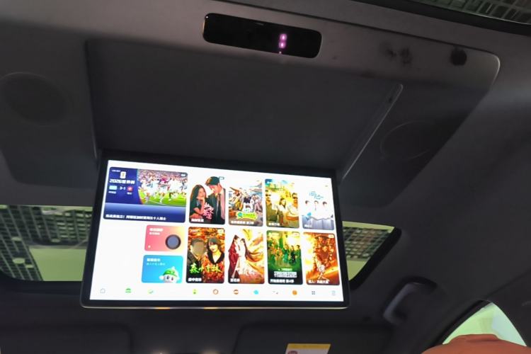 Used Li Auto L9 2022 Max model Headliner