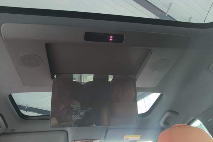 Used Li Auto L9 2022 Max model Headliner