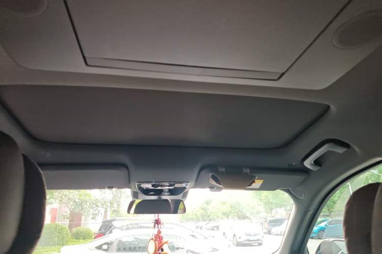 Used Li Auto L9 2022 Max model Headliner