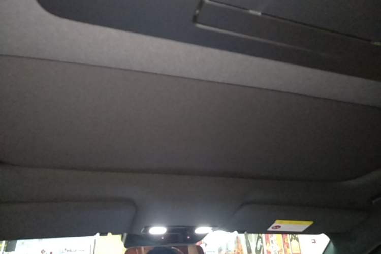 Used Li Auto L9 2022 Max model Headliner