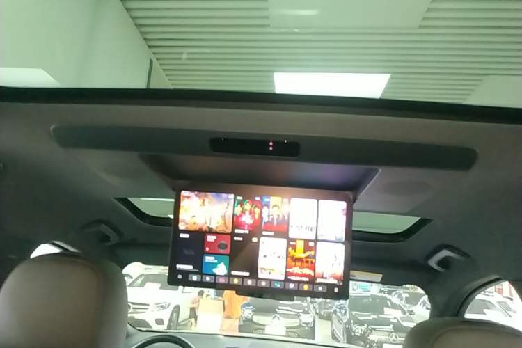 Used Li Auto L9 2022 Max model Headliner