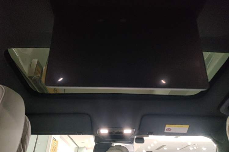 Used Li Auto L9 2022 Max model Headliner