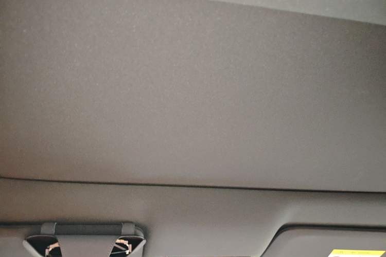 Used Li Auto L9 2022 Max model Headliner