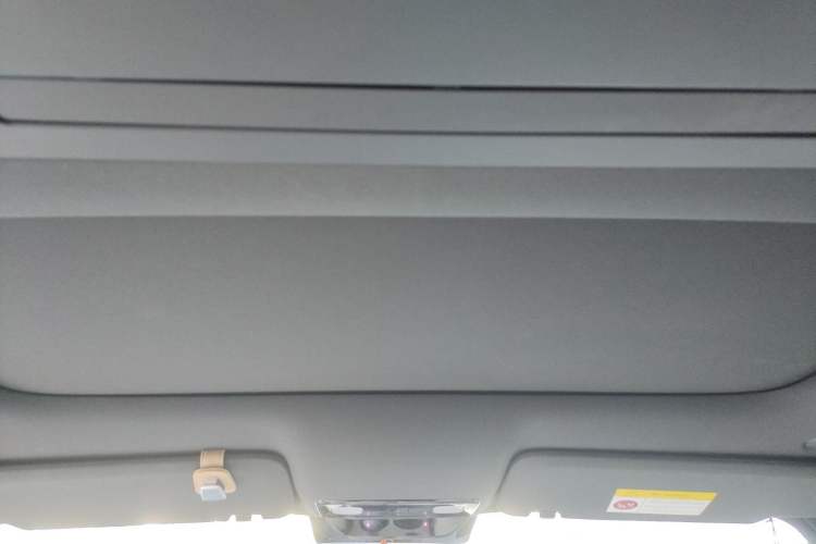 Used Li Auto L9 2022 Max model Headliner