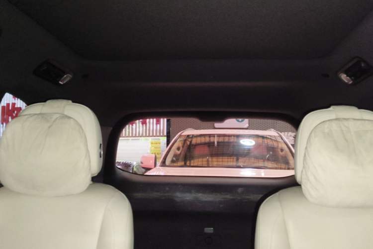 Used Li Auto L9 2022 Max model Headliner