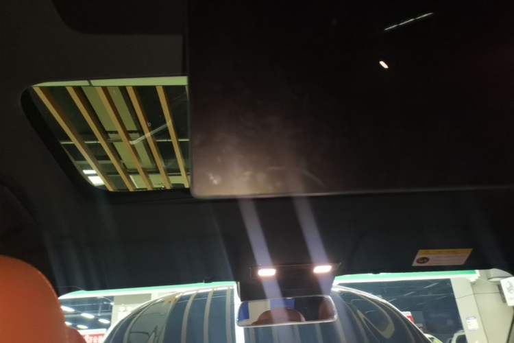 Used Li Auto L9 2022 Max model Headliner