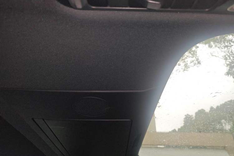 Used Li Auto L9 2022 Max model Headliner