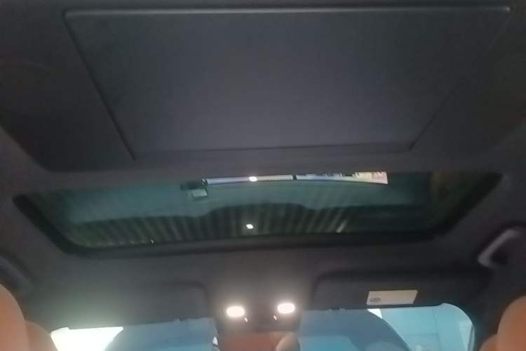 Used Li Auto L9 2022 Max model Headliner